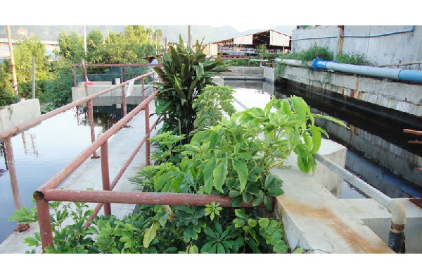 污水处理系统案例02